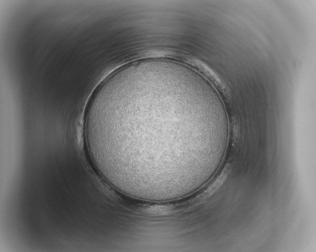 X0000101451178200807280933