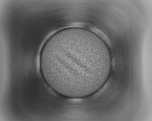 X0000101451180200807280933