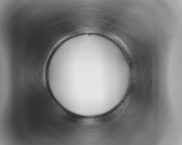 X0000101451182200807280933