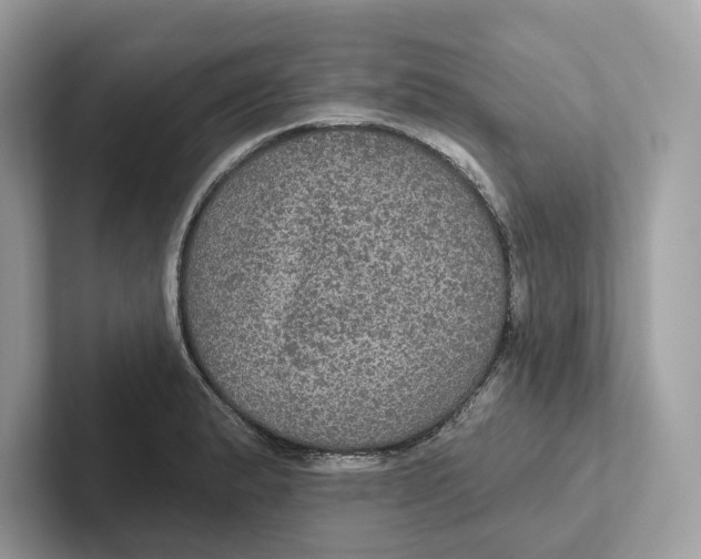 X0000101451183200807280933