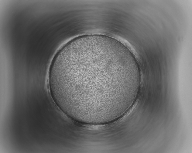 X0000101451184200807280933