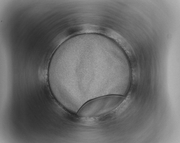 X0000101451185200807280933