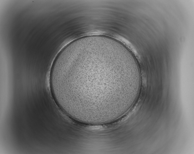 X0000101451186200807280933