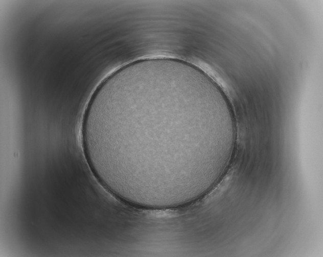 X0000101451189200807280933