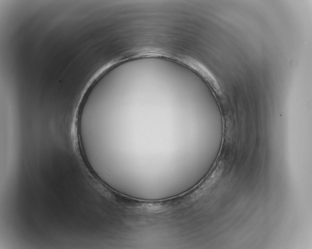 X0000101451190200807280933