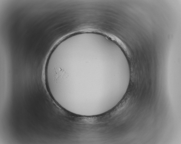 X0000101451191200807280933