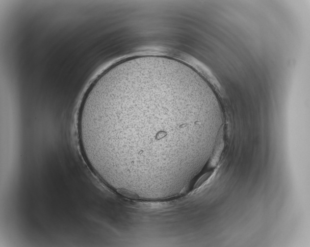 X0000101451192200807280933