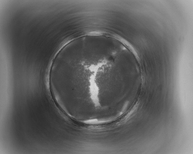 X0000101451194200807280933