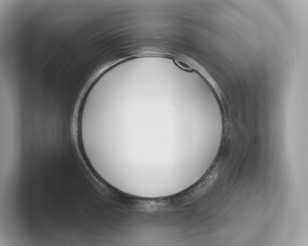 X0000101451195200807280933