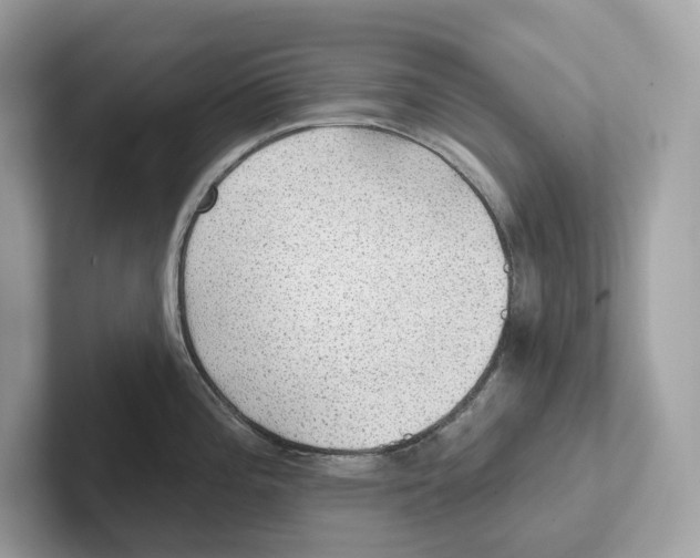 X0000101451196200807280933