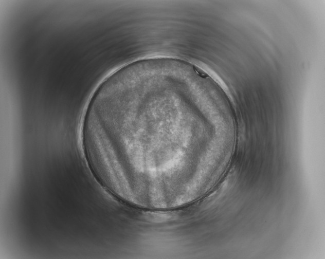 X0000101451197200807280933