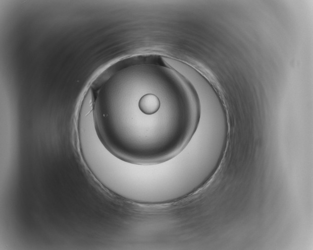 X0000101451200200807280933