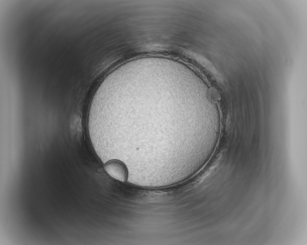 X0000101451209200807280932