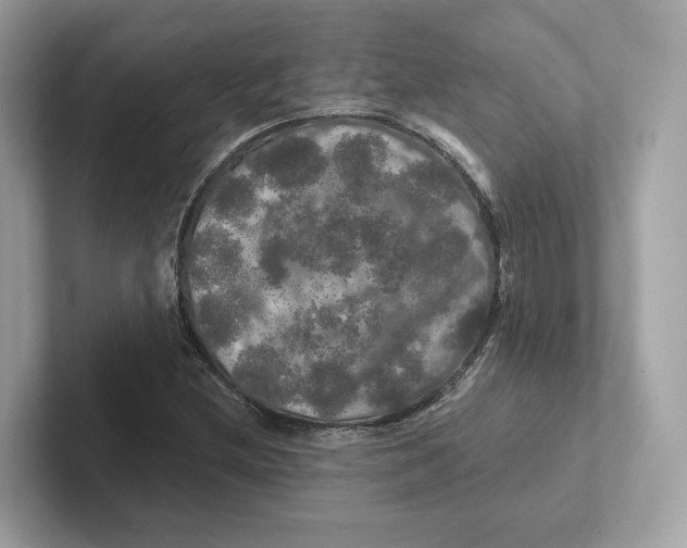 X0000101451212200807280932