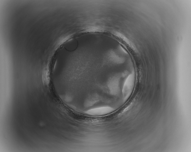 X0000101451213200807280932