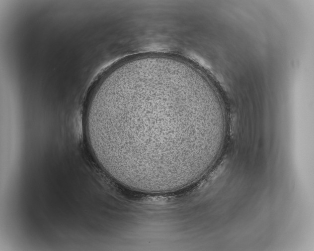 X0000101451214200807280932