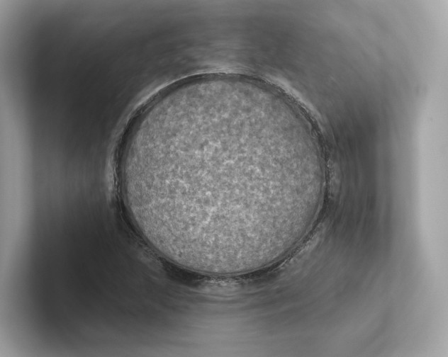 X0000101451215200807280932