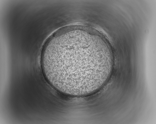 X0000101451216200807280933