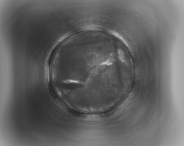 X0000101451219200807280933