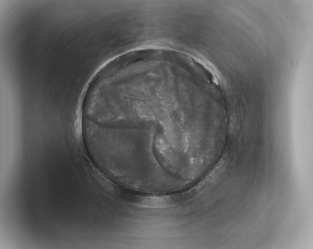 X0000101451224200807280933