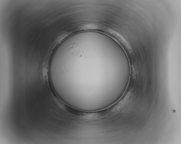 X0000101451225200807280933