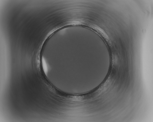 X0000101451226200807280933