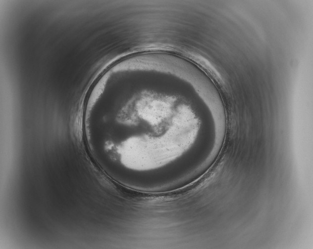 X0000101451228200807280933