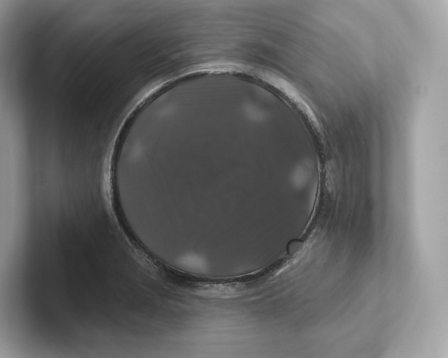 X0000101451229200807280933