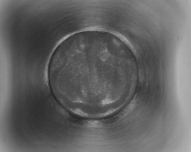 X0000101451230200807280933