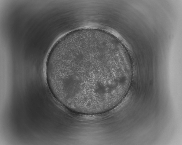 X0000101451232200807280933