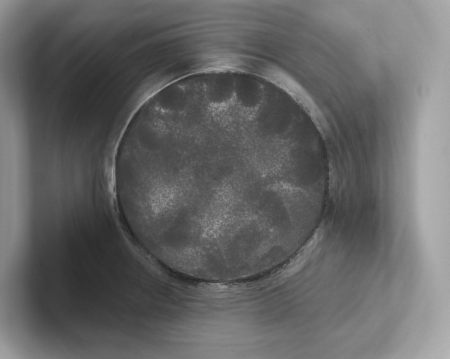 X0000101451234200807280933