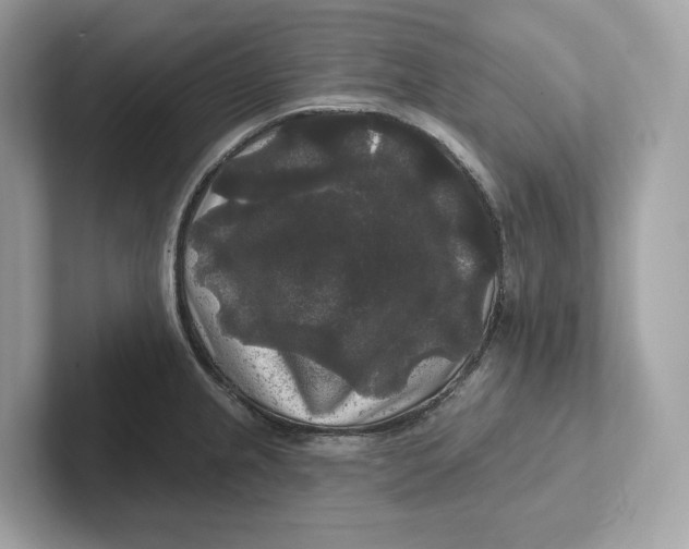 X0000101451237200807280933