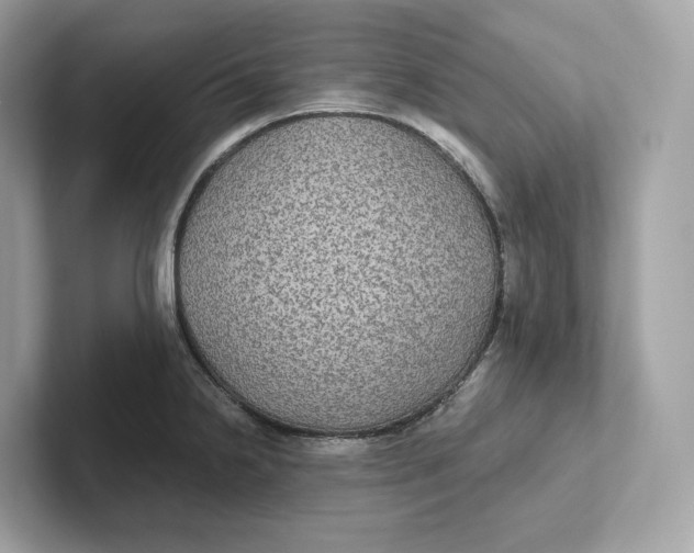 X0000101451238200807280933