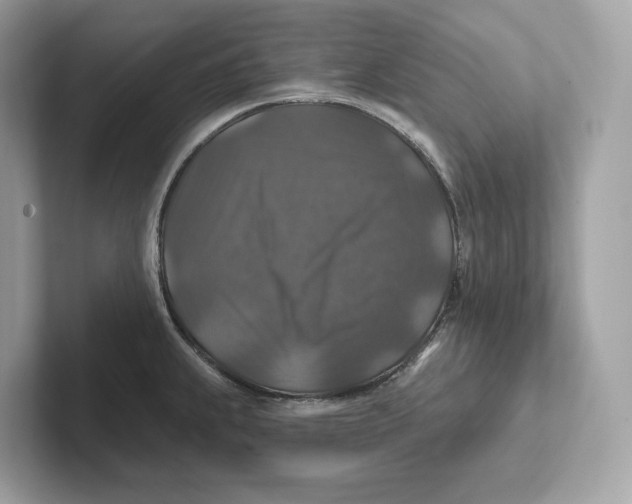 X0000101451239200807280933