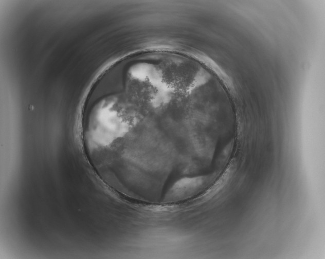 X0000101451240200807280933