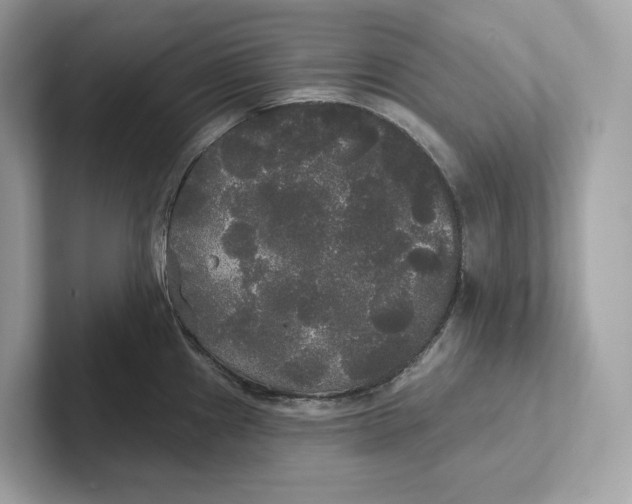 X0000101451241200807280933