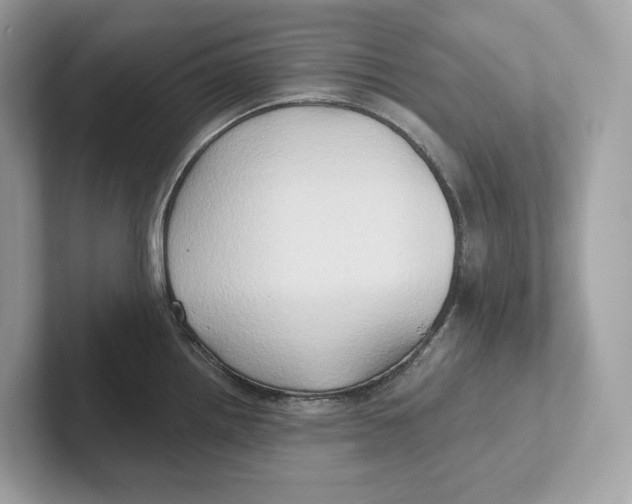 X0000101451242200807280933