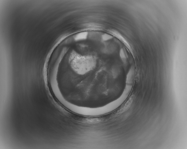 X0000101451243200807280933