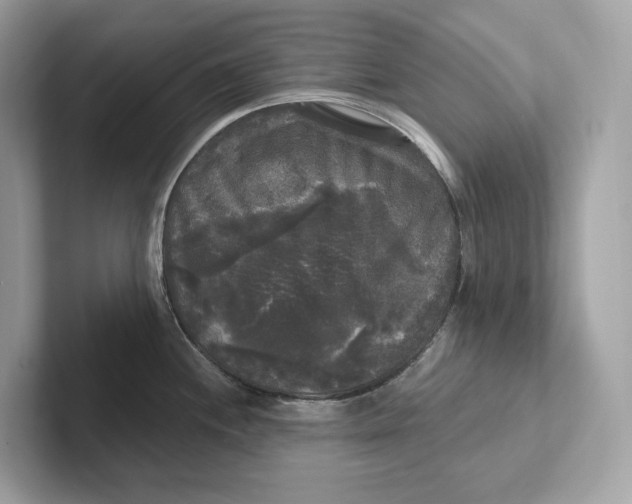 X0000101451244200807280933