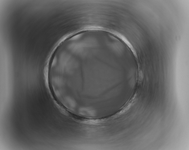 X0000101451245200807280933