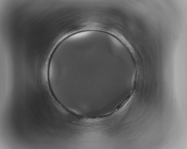 X0000101451246200807280933