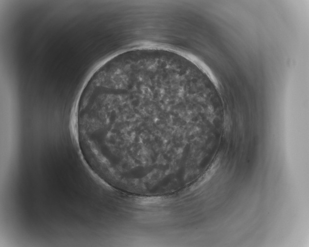 X0000101451247200807280933