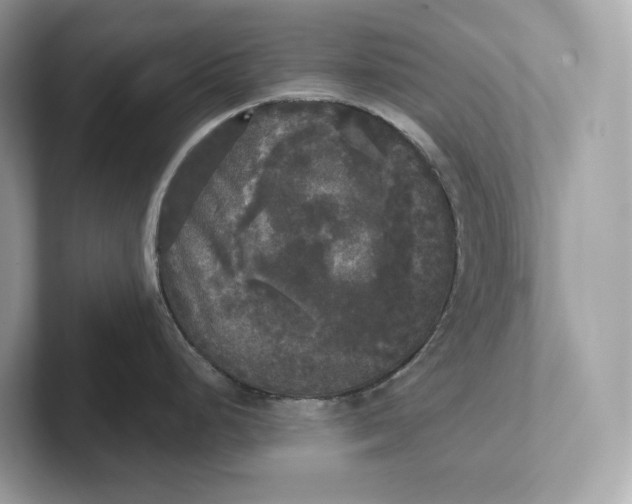 X0000101451248200807280933