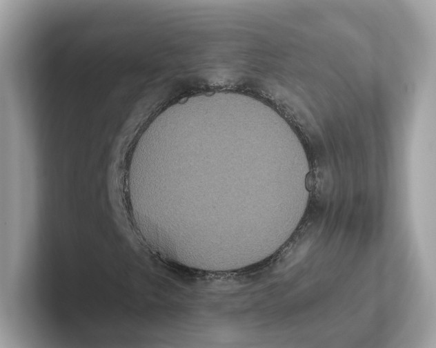 X0000101451249200807280932