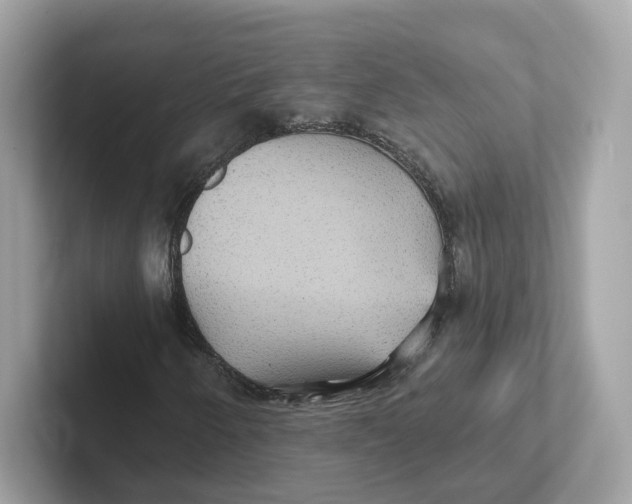 X0000101451250200807280932