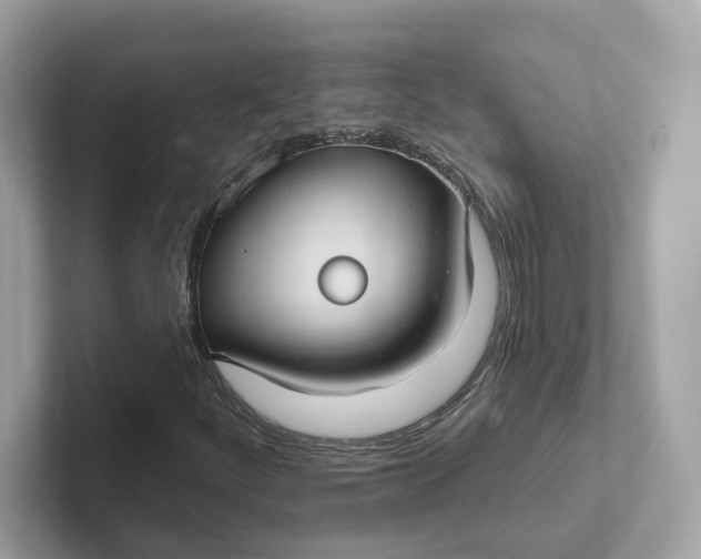 X0000101451252200807280932