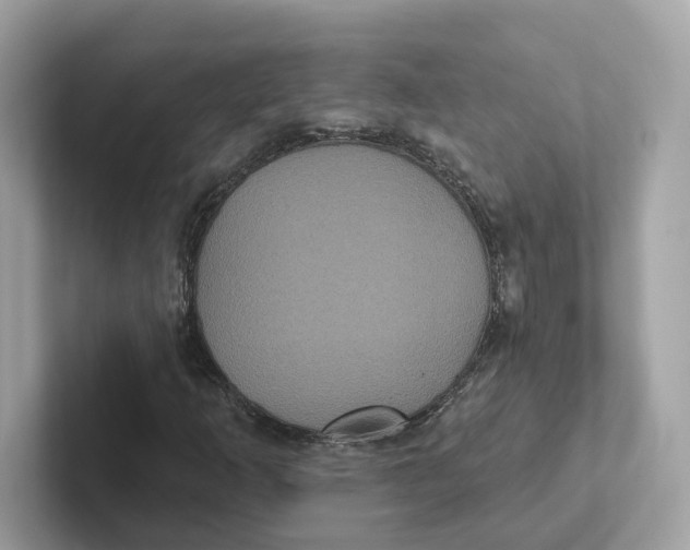 X0000101451253200807280932