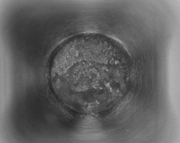 X0000101451255200807280932