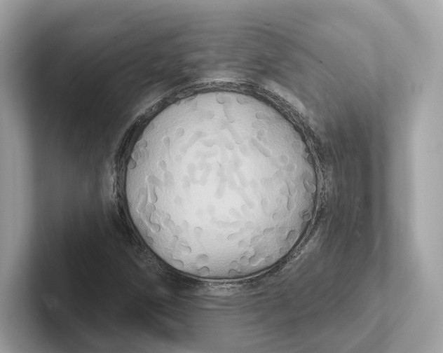 X0000101451258200807280932