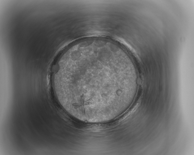 X0000101451259200807280932